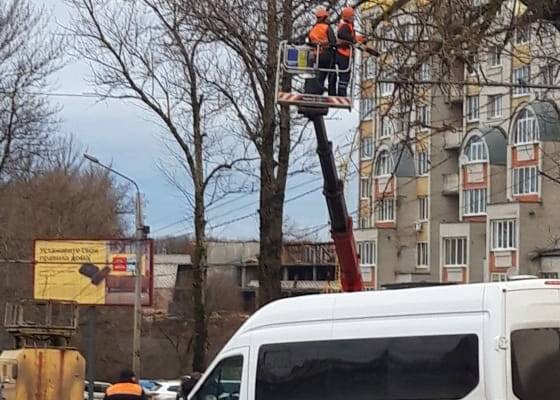 В Брянске на переулке Пилотов убрали грозившее рухнуть на дорогу дерево