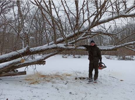 Брянские активисты приступили к расчистке русла реки Снежеть