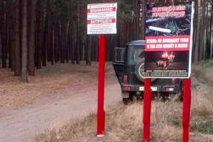 В брянских лесах появились запрещающие таблички
