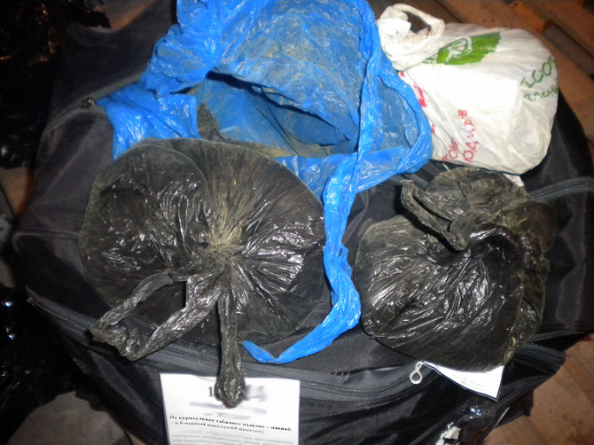 Брянские таможенники нашли в багаже украинца 61 килограмм нелегального насвая