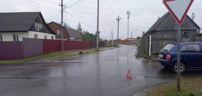 В Брянске женщина на Skoda сбила 19-летнего велосипедиста