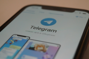 Силовики взяли на контроль чаты брянских антипривочников в Telegram