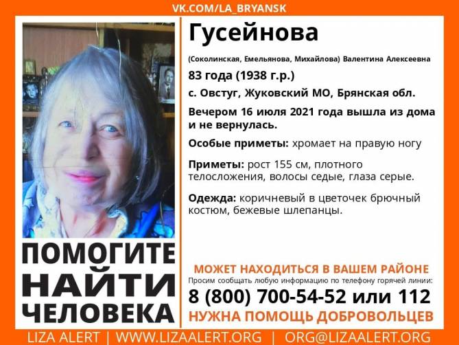 На Брянщине ищут пропавшую 83-летнюю Валентину Гусейнову