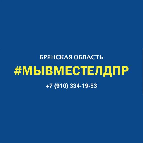 На Брянщине активисты ЛДПР разносят продукты и лекарства старикам