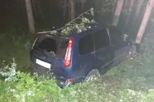 Под Злынкой пьяный водитель протаранил дерево