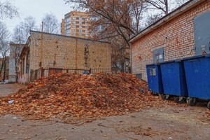 В Брянске жители улицы Советской просят спасти их от гор гнилой листвы