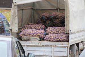 Тульскую фирму оштрафовали за ввоз в регион брянской картошки