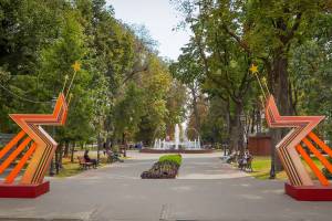 В Брянске на День города не будет парада и салюта