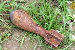 В Выгоничском лесу нашли 50-миллиметровую миномётную мину