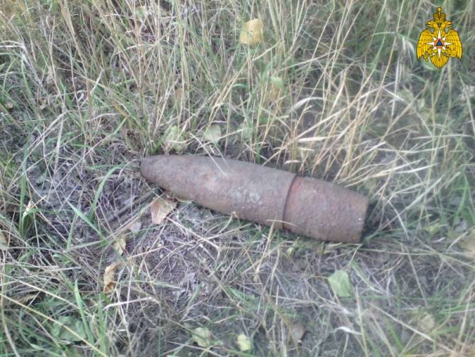 В лесу возле суземского поселка Кокоревка нашли артиллерийский снаряд