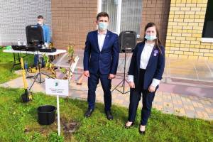 В Брянске возле детской поликлиники №5 высадили деревья