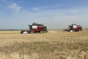 В Брянской области началась подготовка к уборке зерновых культур