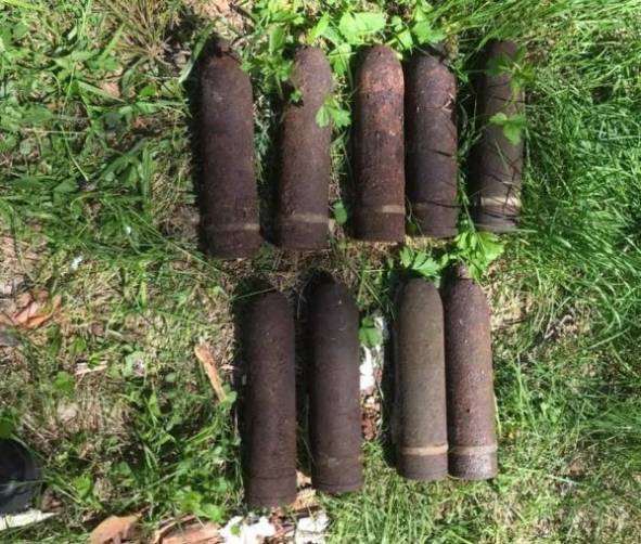 В Севском районе нашли целый арсенал снарядов и мин