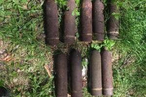 В Севском районе нашли целый арсенал снарядов и мин