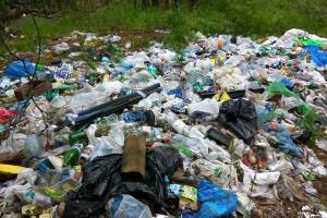 На Брянщине ужесточили штрафы за создание мусорных свалок