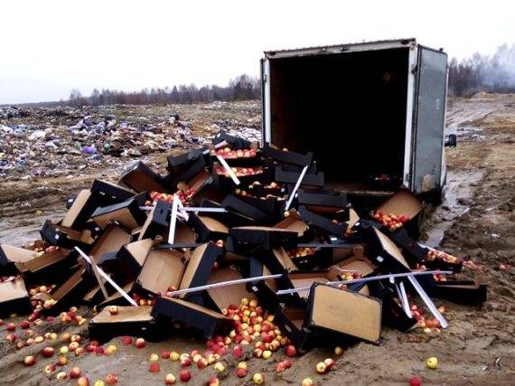 В Брянской области уничтожили 5 тонн белорусских яблок
