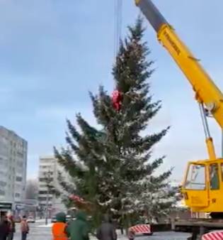 В Брянске у «Линии» начали устанавливать новогоднюю ель
