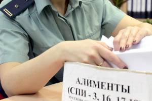 В Брянской области с начала года приставы взыскали 57 миллионов рублей алиментов
