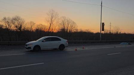 В Брянске на проспекте Героев насмерть сбили 44-летнего пешехода