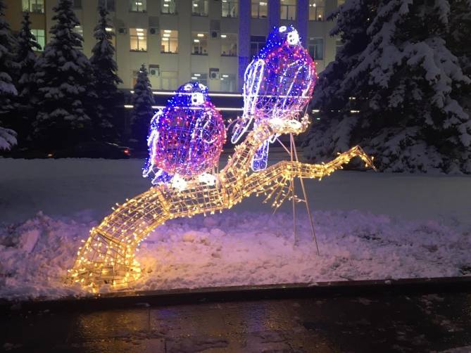 В Брянске на площади Ленина установили новогодних снегирей