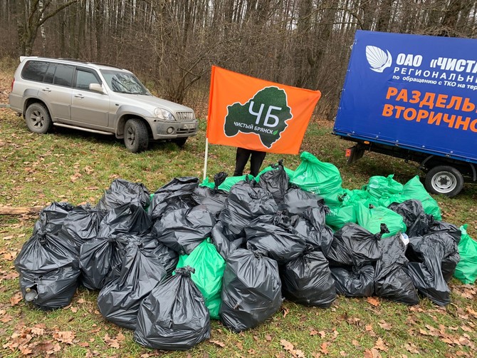 Брянские активисты собрали больше тонны мусора в лесу «Заставище»