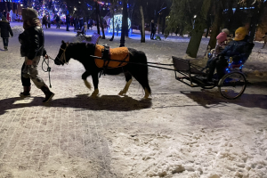В Брянске устроили покатушки на конных повозках вокруг ёлки 