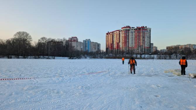 В Брянске нашли тело одного из утонувших в Десне мальчиков
