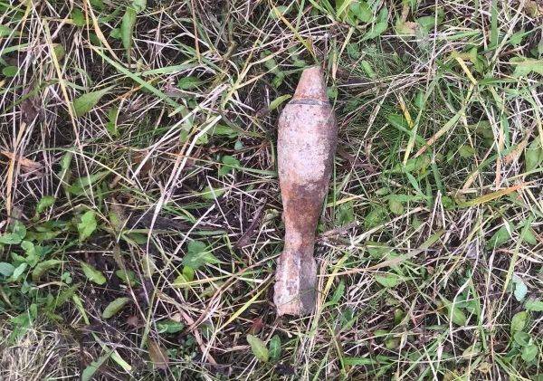 В Новозыбкове и Выгоничском районе вызывали МЧС из-за обнаруженных мин