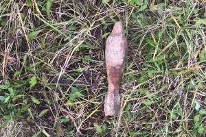 В Новозыбкове и Выгоничском районе вызывали МЧС из-за обнаруженных мин