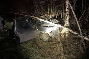 В Навлинском районе Nissan протаранил дерево: ранен 40-летний пассажир