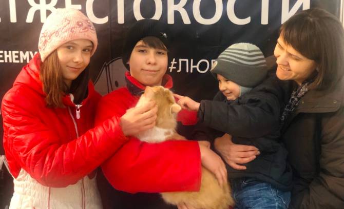 В Брянске 29 бездомных кошек нашли новых хозяев