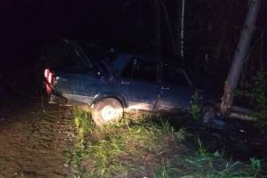 Под Погаром пьяный водитель врезался в дерево: ранены двое