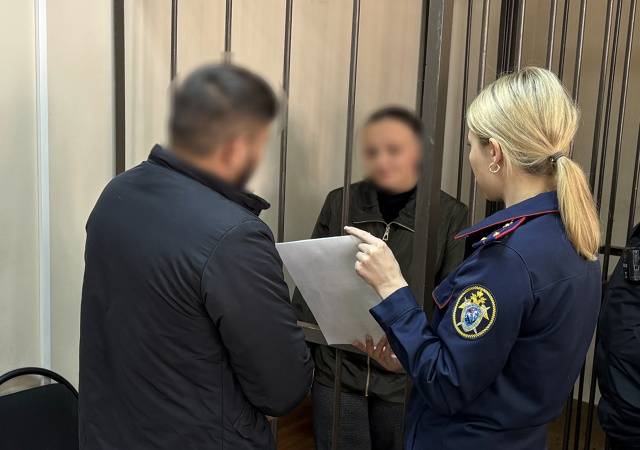 Жительница Клинцов утопила свекровь в выгребной яме