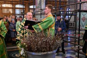 Православные брянцы отмечают вербное воскресенье