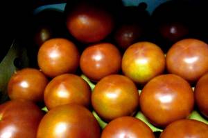 На Брянщине забраковали около 40 тонн турецких томатов