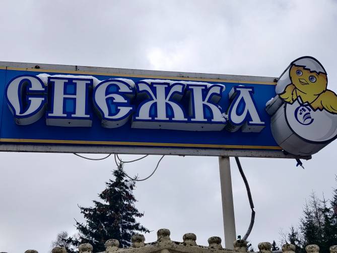 Работникам брянской «Снежки» грозит уголовка за озеро фекалий в Путевке