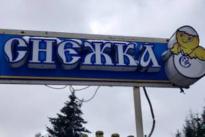 Работникам брянской «Снежки» грозит уголовка за озеро фекалий в Путевке