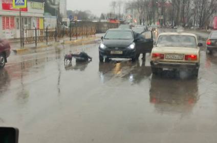 В Брянске на Новостройке легковушка сбила мужчину с собакой