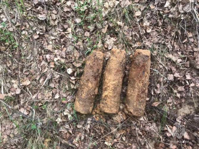 В Брянской области за день нашли 4 артиллерийских снаряда