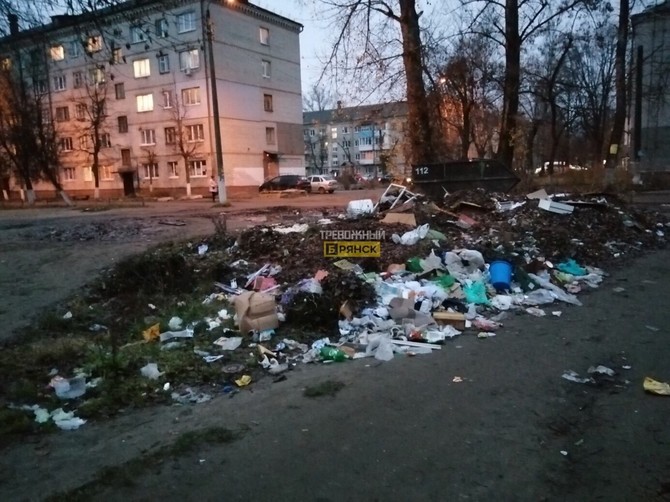 В Брянске в мусоре утонула детская площадка на «Мечте»