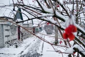 Районы Брянской области завалило снегом