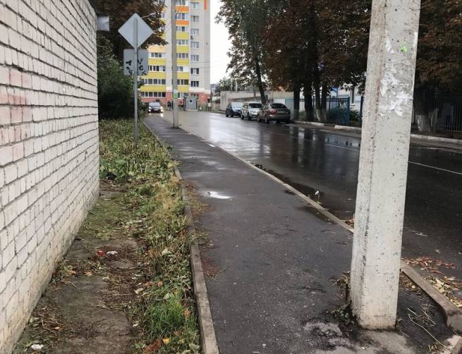 В Брянске освободили тротуар от зарослей кустарника