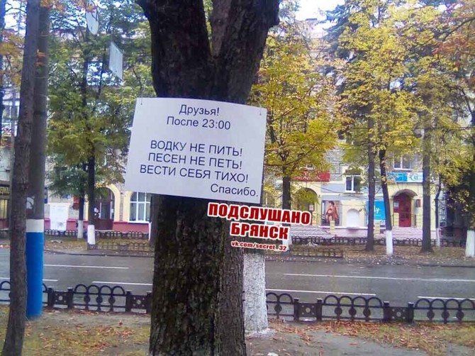 В Брянске на Куйбышева деревья призвали шумных горожан к порядку