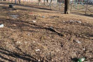 В Брянске между школой №67 и детсадом после зимы открылась жуткая свалка