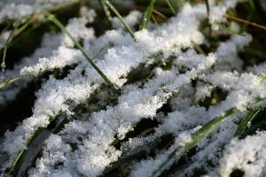 В Брянской области 14 ноября сняли на видео первый снег