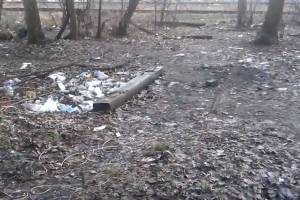 Брянский блогер снял на видео завалы мусора вдоль путей РЖД