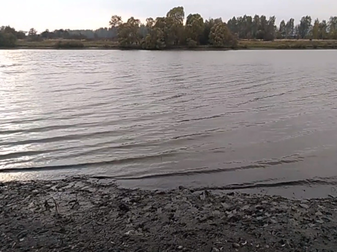 В Комаричском районе исчезает озеро