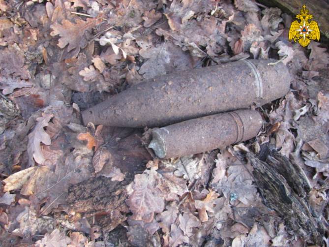 В Брасовском районе нашли 50-килограммовую бомбу