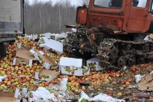 В Унечском районе уничтожили больше 35 тонн клубники и яблок