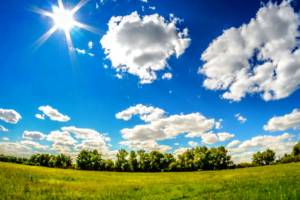В Брянской области 19 июня ожидается 30-градусная жара